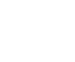 New Energy Nexus